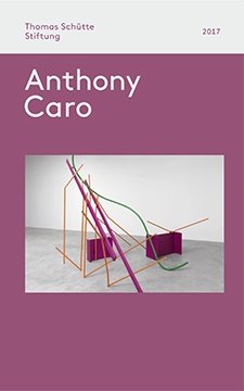 Skulpturenhalle | Anthony Caro