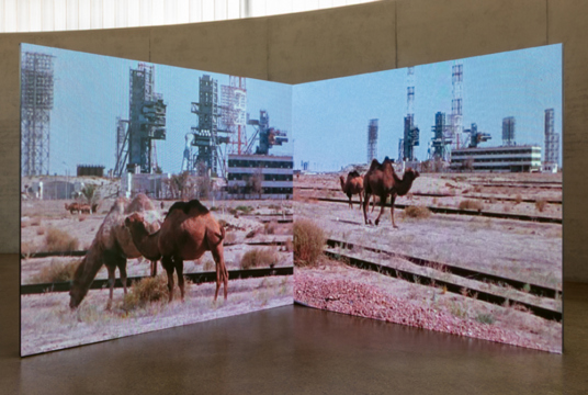 Skulpturenhalle | Jane and Louise Wilson