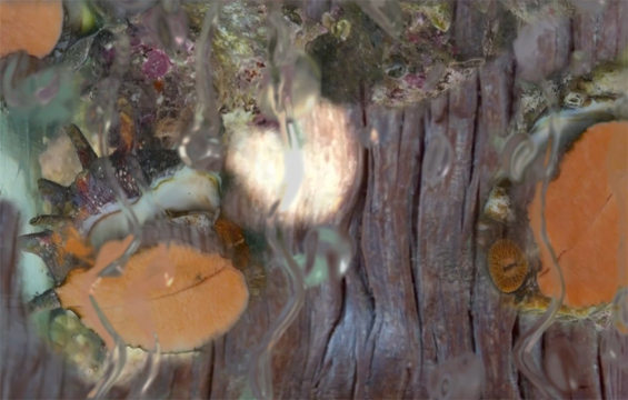 Skulpturenhalle | Jane und Louise Wilson